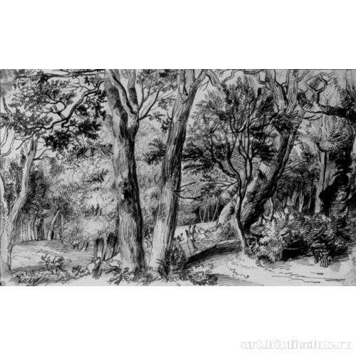 Лесной пейзаж с оленем