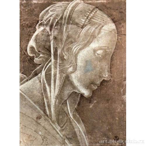 Голова Мадонны