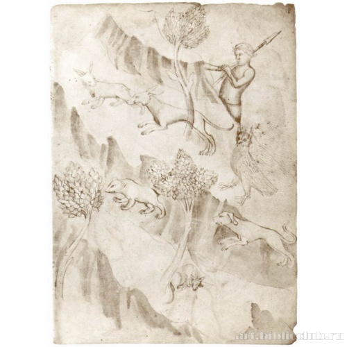 Охота, лист из книги образцов