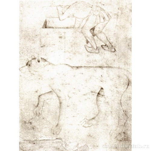 Волк и фигуры, книга образцов