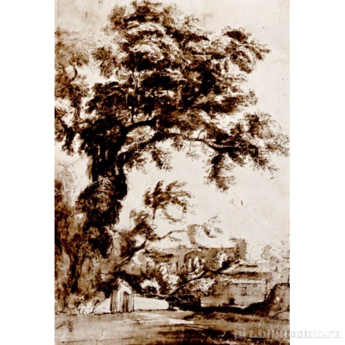 Дерево и римские руины