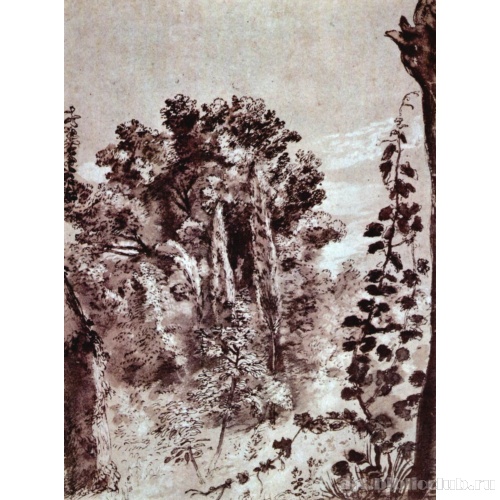 Деревья и виноград