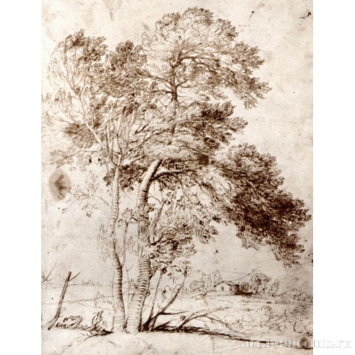 Этюд деревьев