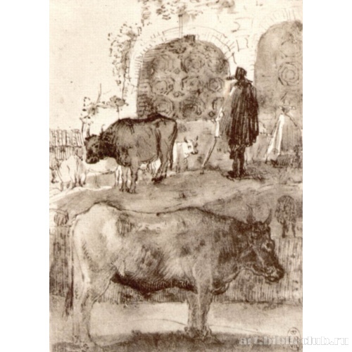 Кампо Ваччино и базилика Константина