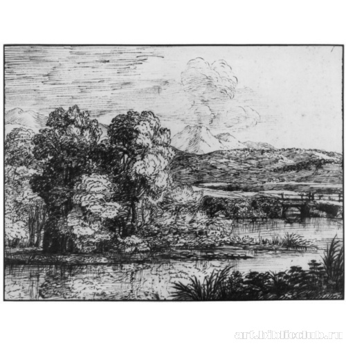 Пейзаж с группой деревьев у воды