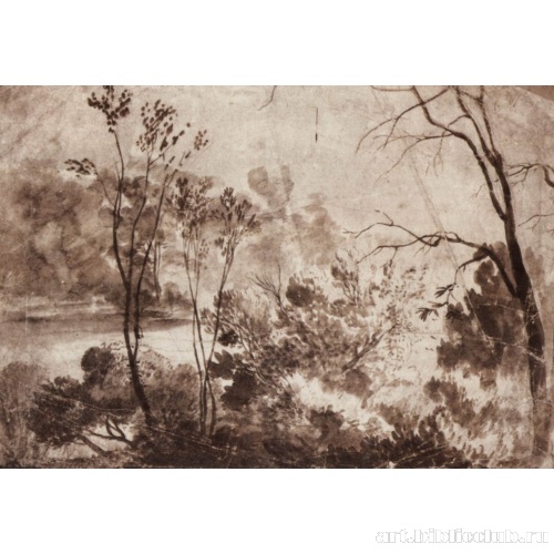 Сухие ветки (Пейзаж с засохшим деревом)