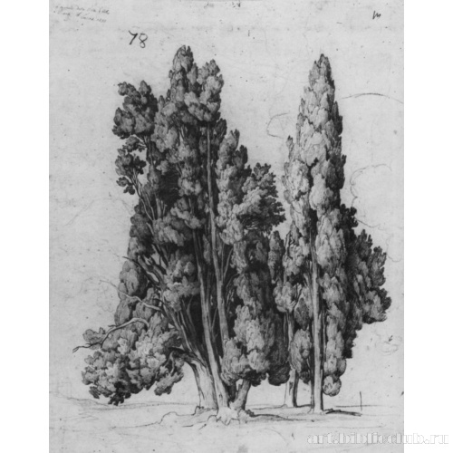 Кипарисы на Вилле д'Эсте в Тиволи