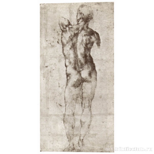 Стоящий обнаженный, вид со спины