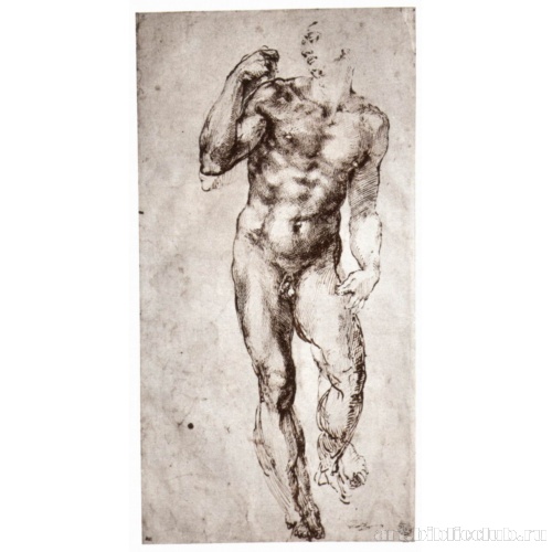 Стоящий обнаженный, вид спереди