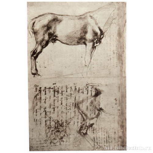 Этюды коня и всадника