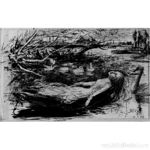 Леди Шалотт