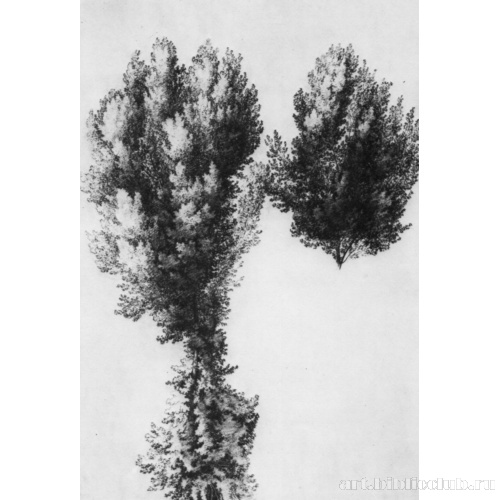 Большой этюд дерева