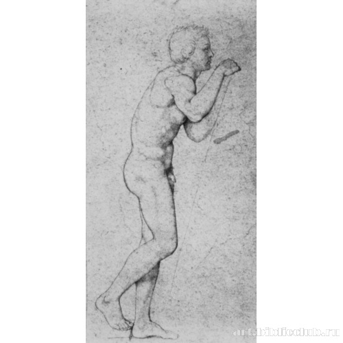 Стоящий обнаженный натурщик в профиль