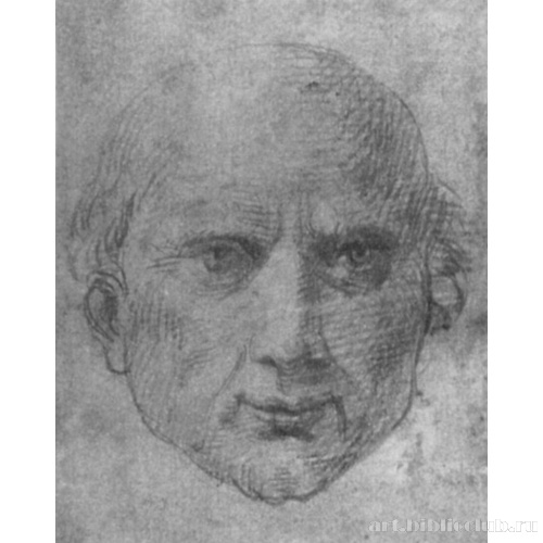 Голова мужчины