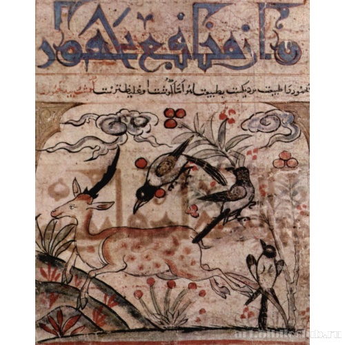 Рукопись Об использовании животных в медицине»: Пятнистый олень и сороки»