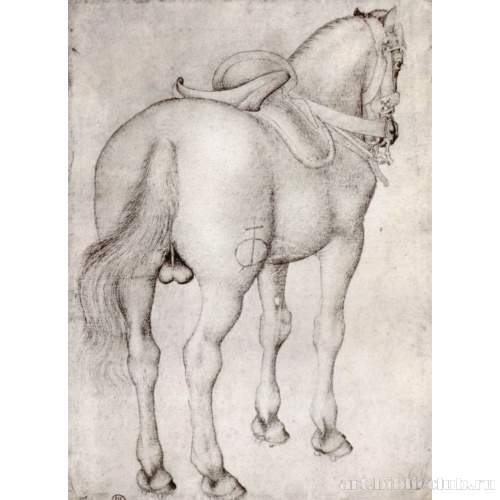 Жеребец под седлом