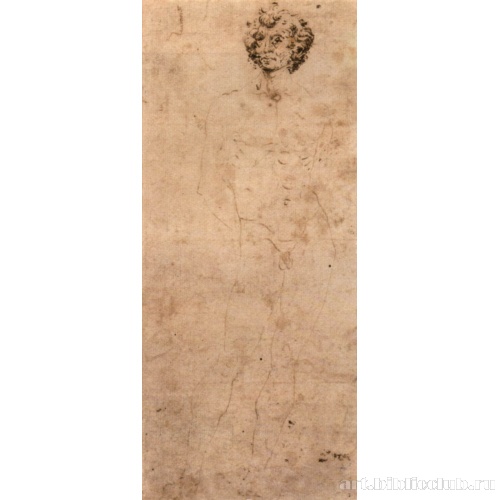 Обнаженный