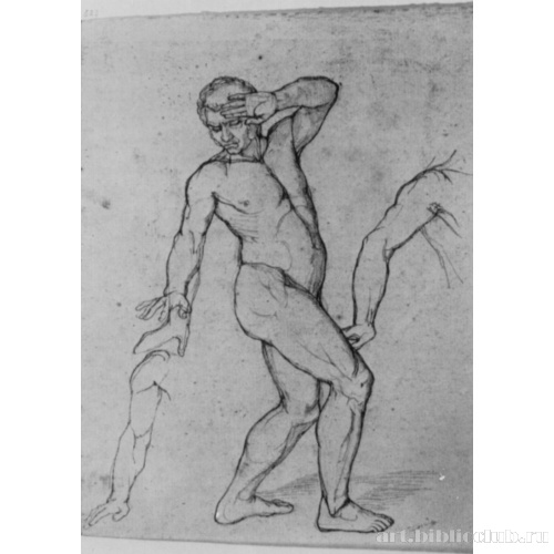 Повернувшийся обнаженный натурщик и этюд руки