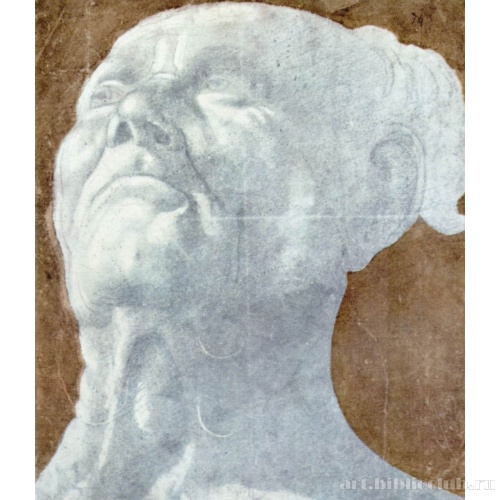 Голова мужчины, смотрящего вверх