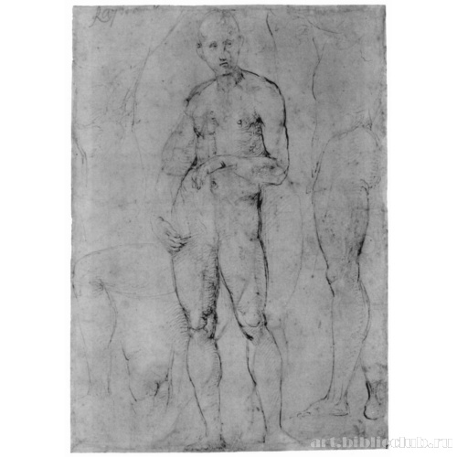 Этюды обнаженных фигур