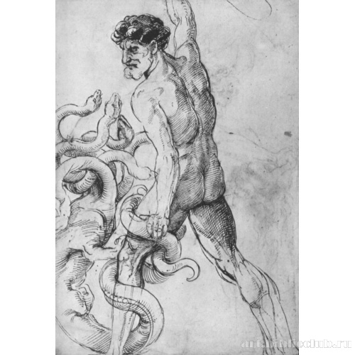 Геракл, сражающийся с гидрой