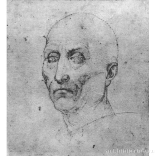 Голова старика