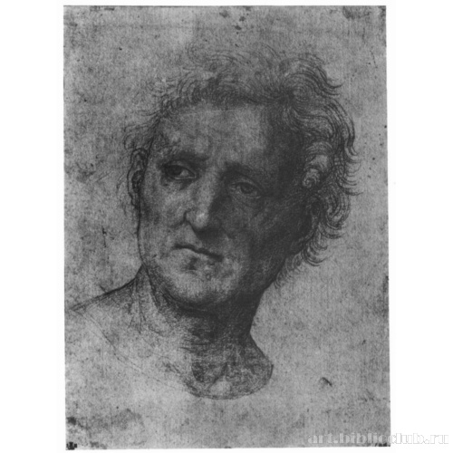 Голова мужчины