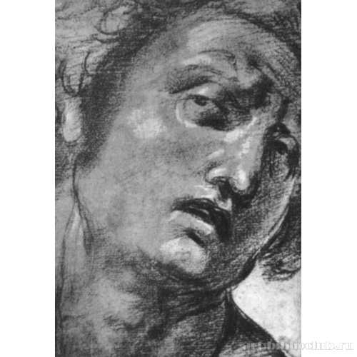 Этюд головы