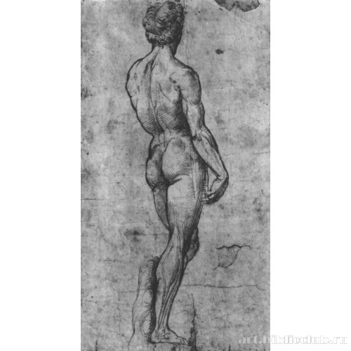 Обнаженный со спины (с 