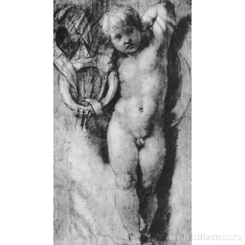 Этюд к росписям Станцы д'Элиодоро, Путто с импрезой Медичи