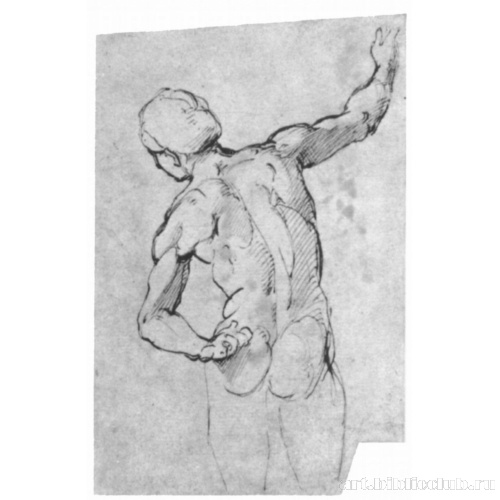 Обнаженный со спины