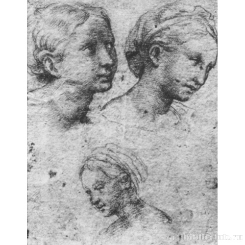 Этюд к росписям Лоджии Психеи, Этюд голов