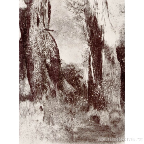 Древесные стволы