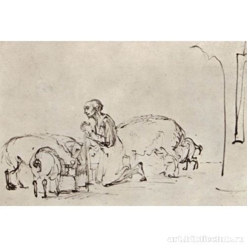 Блудный сын среди свиней