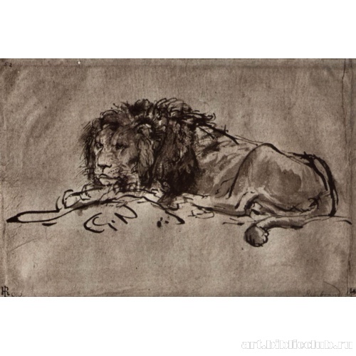 Отдыхающий лев