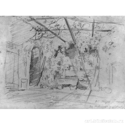 Виноградная терраса в Провансе