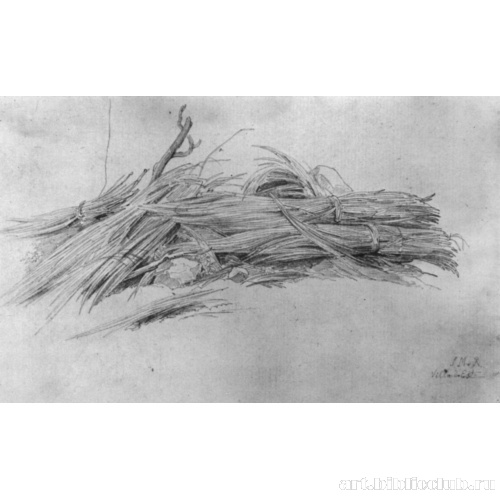 Вязанки камыша