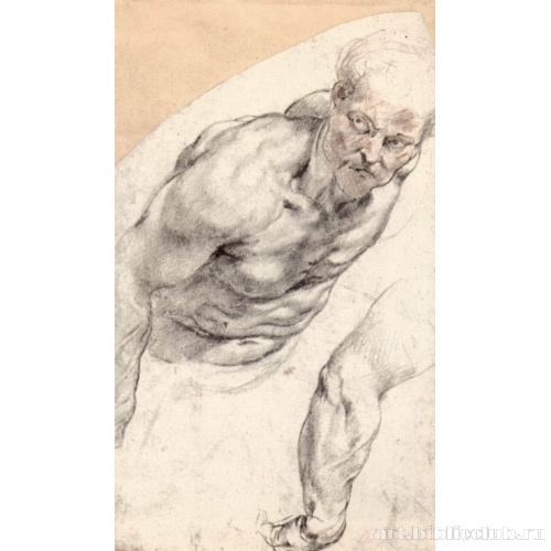 Этюд обнаженного натурщика. Полуфигура