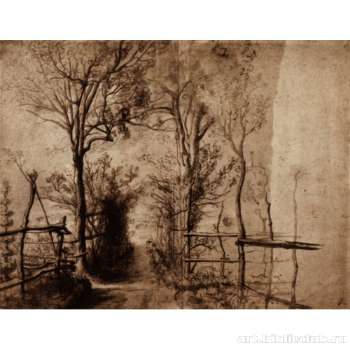 Тропинка между деревьями