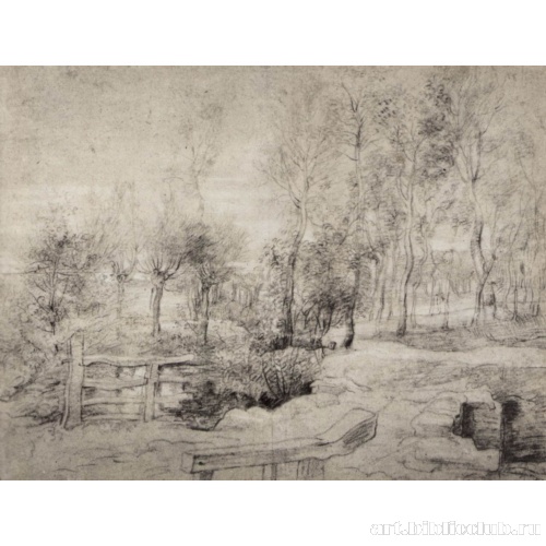 Пейзаж с деревьями