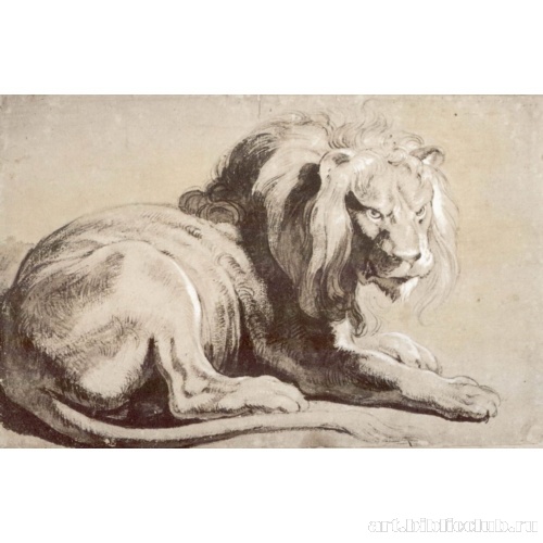 Этюд льва