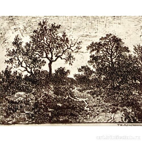 Лесной пейзаж