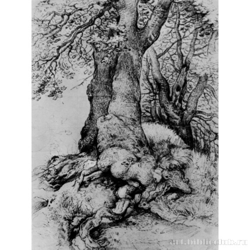 Этюд дерева