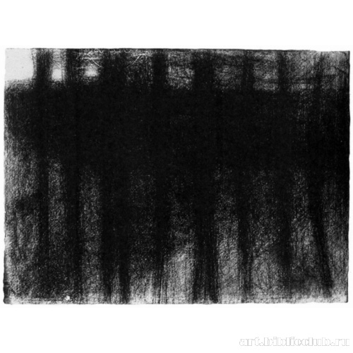 Стволы деревьев, отраженные в воде