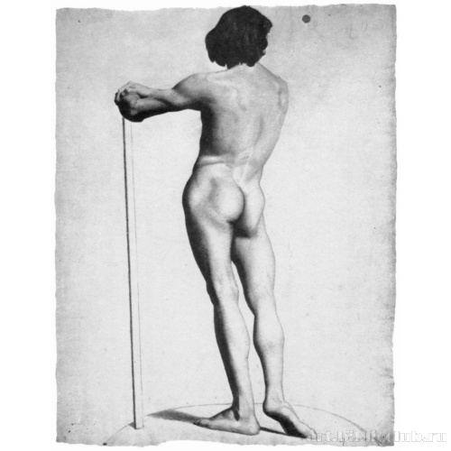 Обнаженный со спины, опирающийся на палку