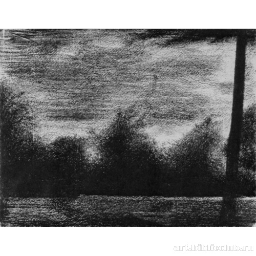 Опушка леса