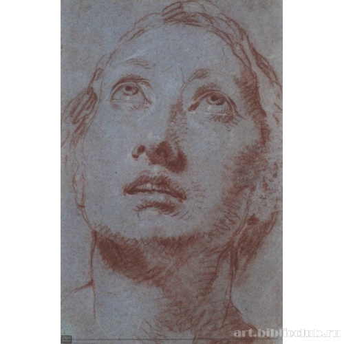 Голова женщины