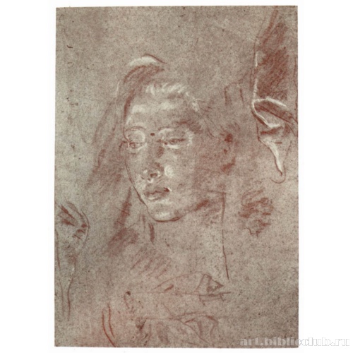 Голова молодой женщины