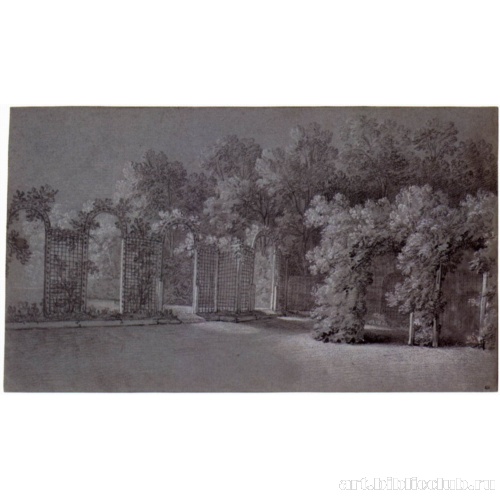 Вид на парковую лужайку с зеленой аллеей и решеткой