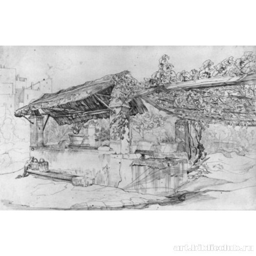 Место для стирки под виноградной беседкой в Италии